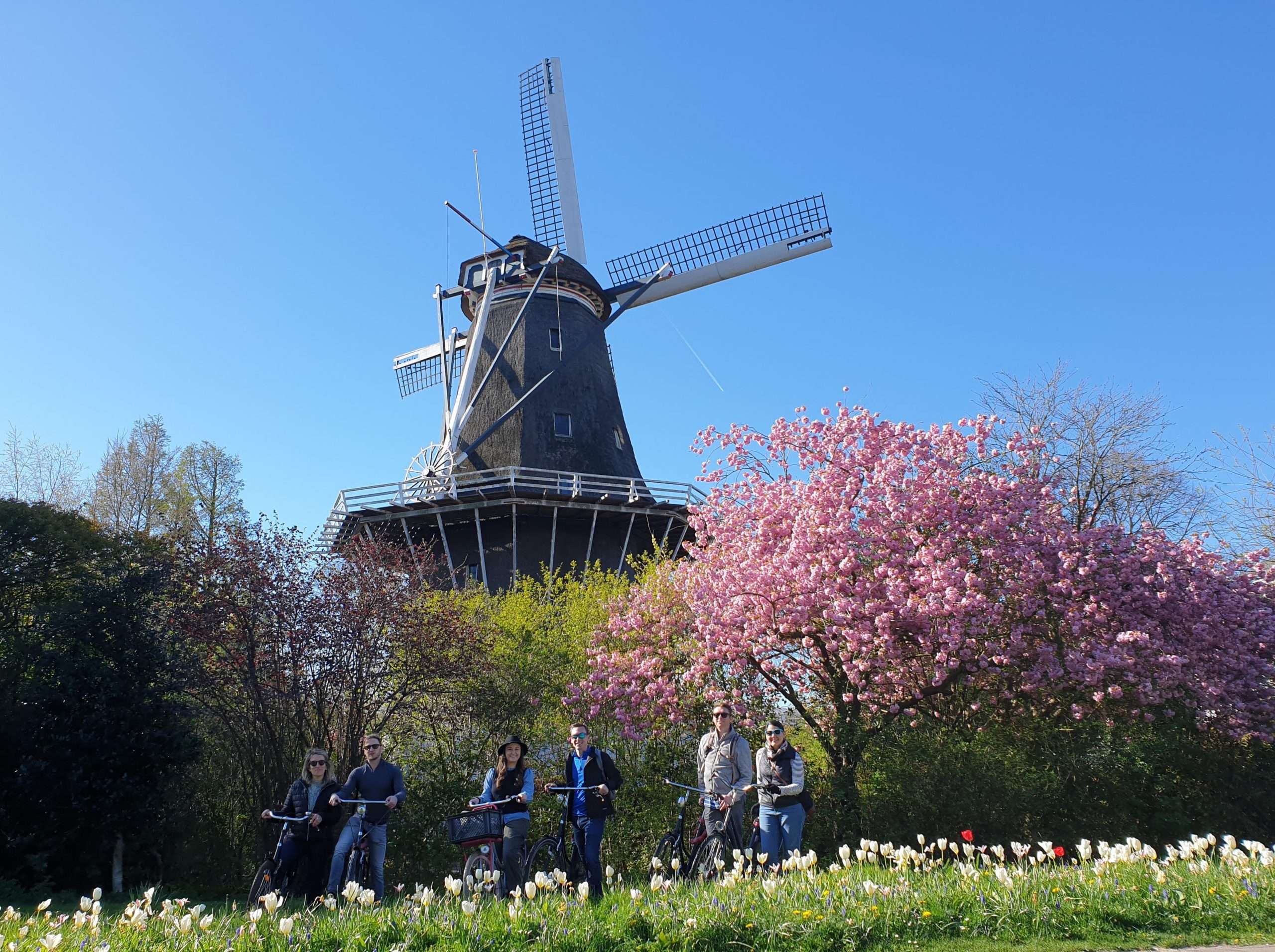 Biking tour Amsterdam Windmill