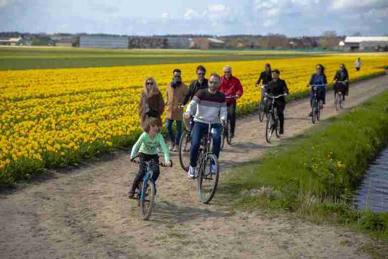 Private biking tour tulip fields