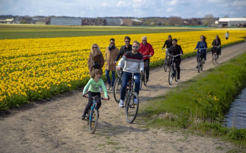 Private biking tour tulip fields